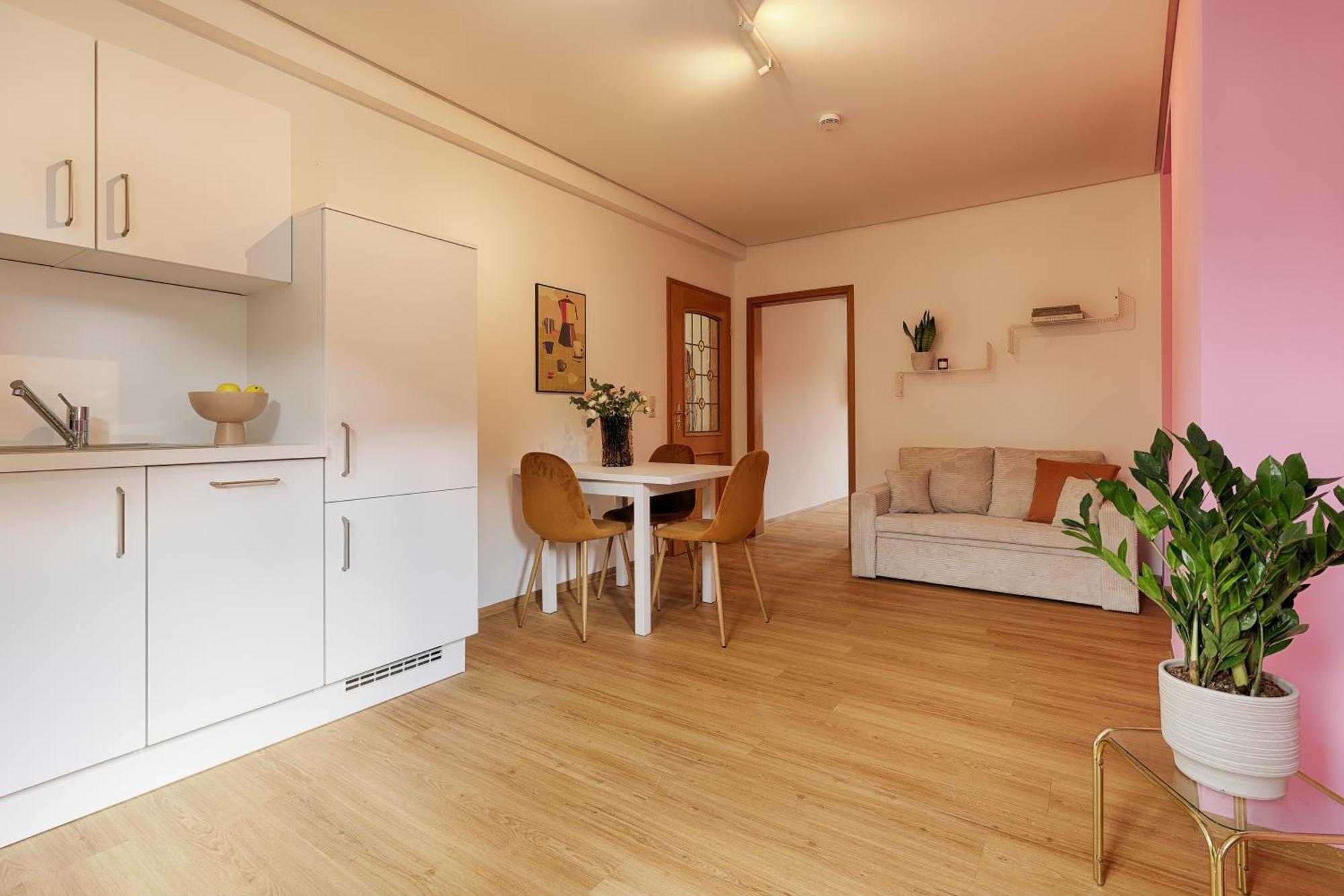 Homie Stay Badgasse - Fewos Am Main Mit Dachterrasse & Fahrradgarage Ochsenfurt Buitenkant foto